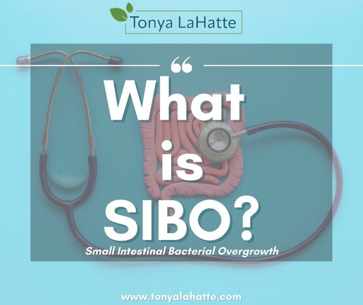 What Is SIBO? Causes, Symptoms, and Diagnosis