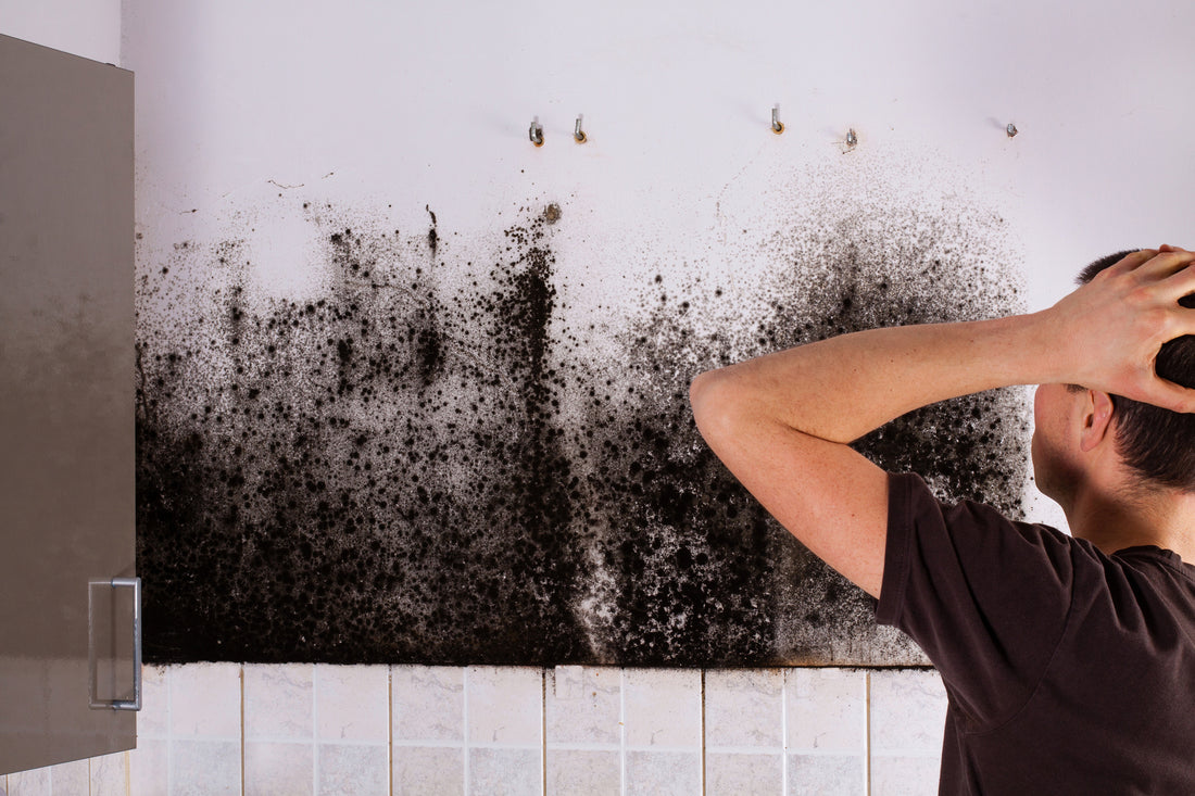 Unveiling the Hidden Dangers: Mold in Homes in Columbia, Tennessee